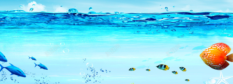 蓝色夏季海底世界海报banner背景