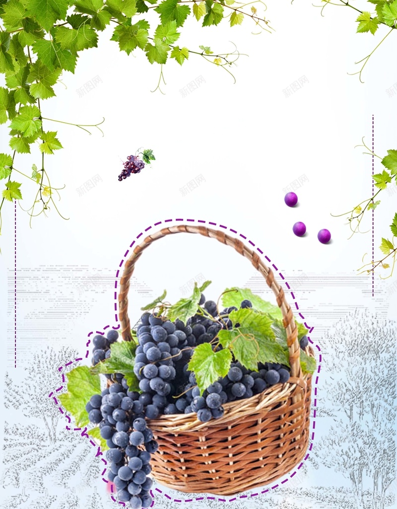 新鲜水果葡萄促销海报背景psd设计背景_新图网 https://ixintu.com 好味道 促销 新鲜 满减 葡萄 天然 水果 健康 夏季 紫色