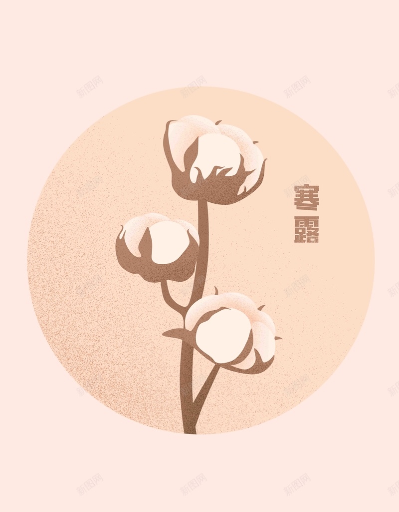 简约寒露棉花手绘jpg设计背景_新图网 https://ixintu.com 淡暖色 简约 寒露 节气 24节气 二十四节气 农历 手绘 传统节气