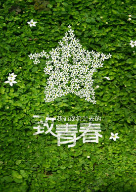 致青春海报背景