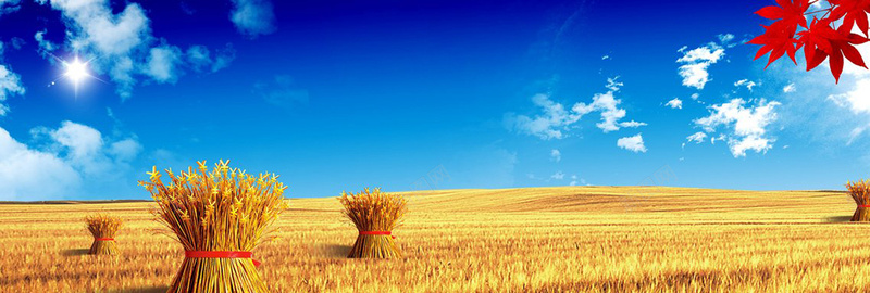 简约背景jpg设计背景_新图网 https://ixintu.com 蓝天稻草 海报banner 摄影 风景