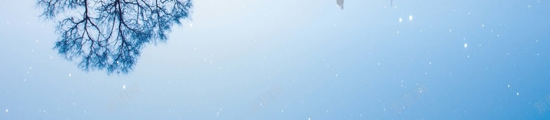 清新二十四节气之霜降节气海报psd设计背景_新图网 https://ixintu.com 二十四节气 海报 清新 节气 蓝色 霜降 树木 小船