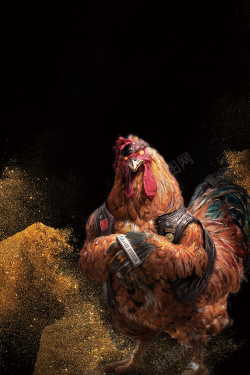 战斗的大公鸡鸡会难得招聘海报背景素材高清图片