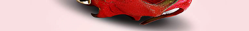 夏季火龙果食品海报背景jpg设计背景_新图网 https://ixintu.com 夏季 展板 椰树 水果 海鸥 火龙果 食品 海报 背景 白底 开心