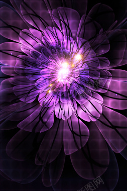 高端紫色花卉海报背景素材背景