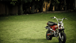 户外草地上户外草地上的摩托高清图片