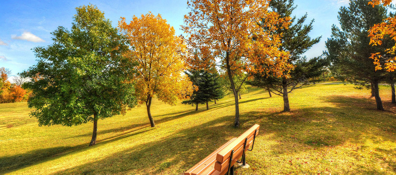 欧式庄园风景背景jpg设计背景_新图网 https://ixintu.com 欧式 庄园 风景 绿草地 树 长椅 淘宝 背景 海报banner 摄影