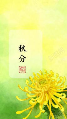 二十四节气秋分菊花H5背景背景