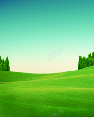 绿色植被草场背景背景