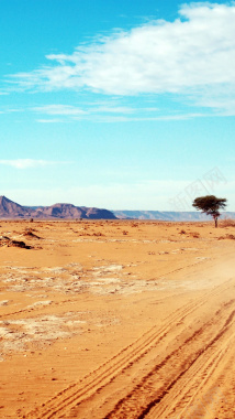 旅行非洲田园H5背景素材背景