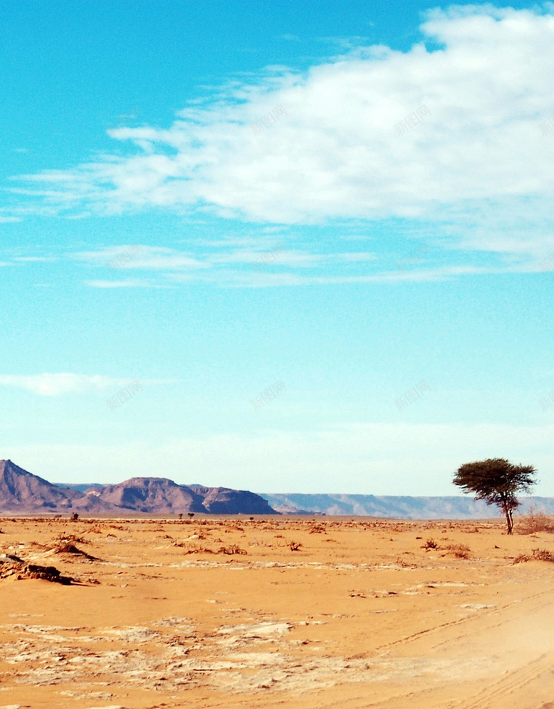 旅行非洲田园H5背景素材jpg设计背景_新图网 https://ixintu.com 旅行 非洲 沙漠 大气 摄影 H5背景 风景