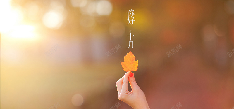 你好十月jpg设计背景_新图网 https://ixintu.com 秋日 秋天 枫叶 海报banner 浪漫 梦幻