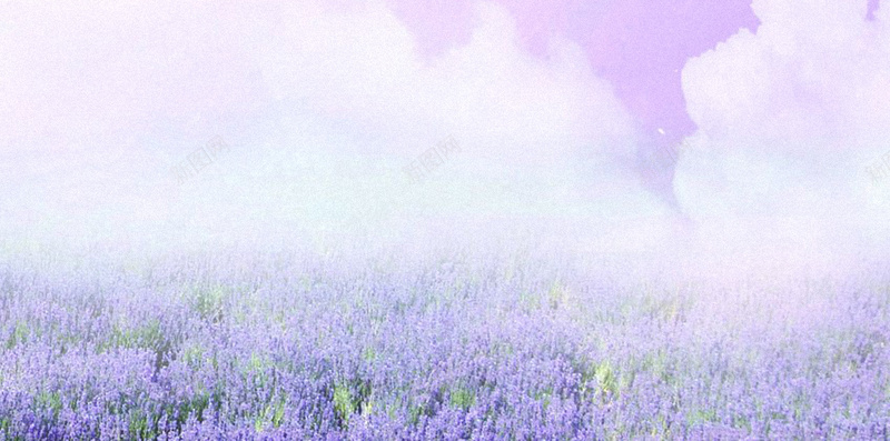 埃菲尔铁塔H5背景jpg设计背景_新图网 https://ixintu.com 埃菲尔铁塔 梦幻 浪漫 紫色 花卉 H5背景 H5 h5