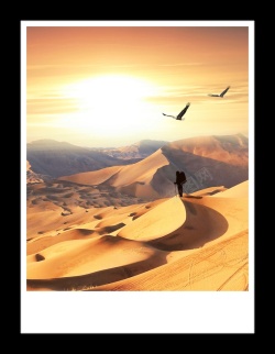 拼搏进取沙漠日出征途企业文化展板背景高清图片