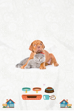 宠物交易宠物海报背景素材高清图片