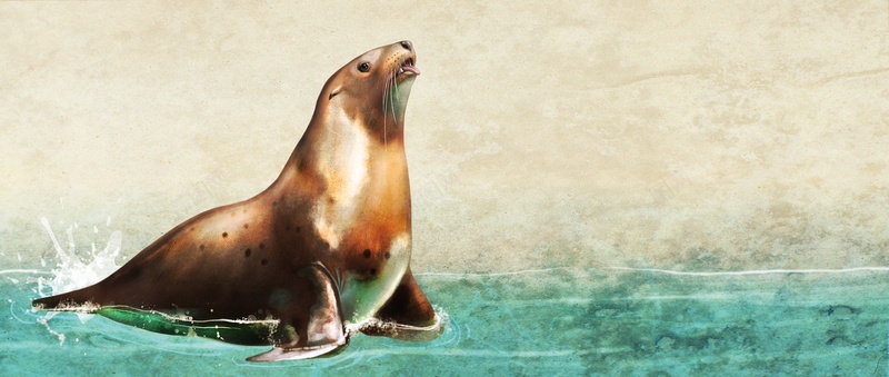 彩铅背景动物分层海豹背景