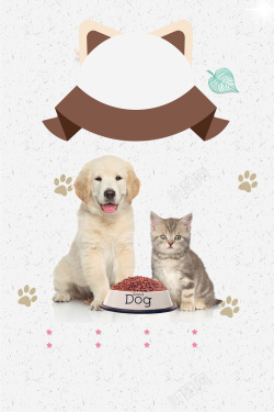 狗狗宣传海报宠物店宣传海报背景素材高清图片