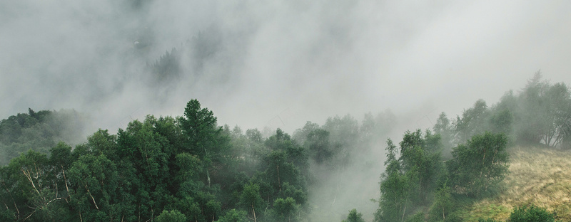 雾气森林bannerjpg设计背景_新图网 https://ixintu.com 海报banner 摄影 风景 森林雾气自然树木风景