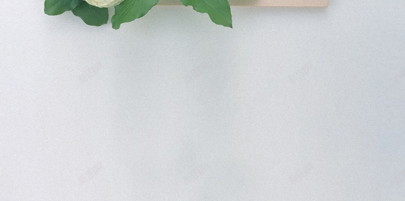 白色花卉H5背景jpg设计背景_新图网 https://ixintu.com 女装 家装 清新 白色 花卉 H5背景 H5 h5 文艺 小清新 简约