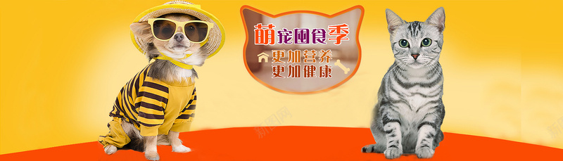 可爱猫狗食物背景jpg设计背景_新图网 https://ixintu.com 背景食物 可爱 狗粮 猫粮 背景