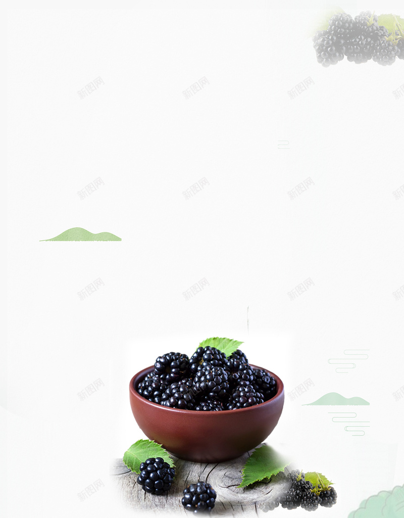 桑葚美食水果促销海报psd设计背景_新图网 https://ixintu.com 水果海报 夏季 桑叶 桑葚 简约 桑树水果 水果超市 美味 营养