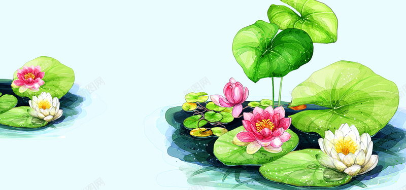 手绘荷花背景psd设计背景_新图网 https://ixintu.com 海报banner 卡通 手绘 童趣 荷花