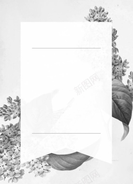 黑白花卉广告背景背景