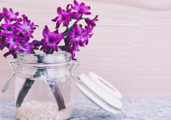 紫色玻璃瓶紫色小花背景高清图片