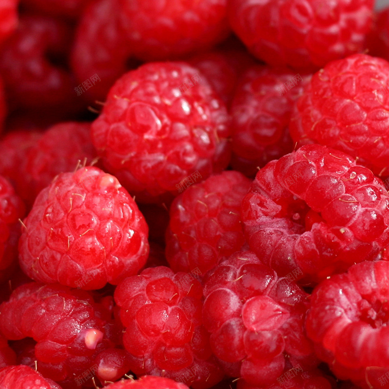 红色树莓背景jpg设计背景_新图网 https://ixintu.com 红色 纹理 质感 水果 树莓 主图