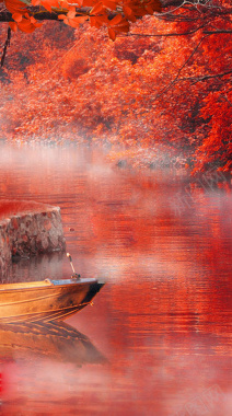 秋季红色枫树林风景背景