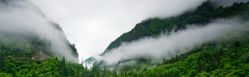 绿色风景背景jpg设计背景_新图网 https://ixintu.com 绿色 山峰 云雾 风景 青山 海报banner 摄影