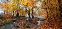 秋季自然风光秋季背景高清图片