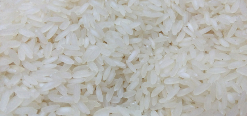 亚洲水稻背景