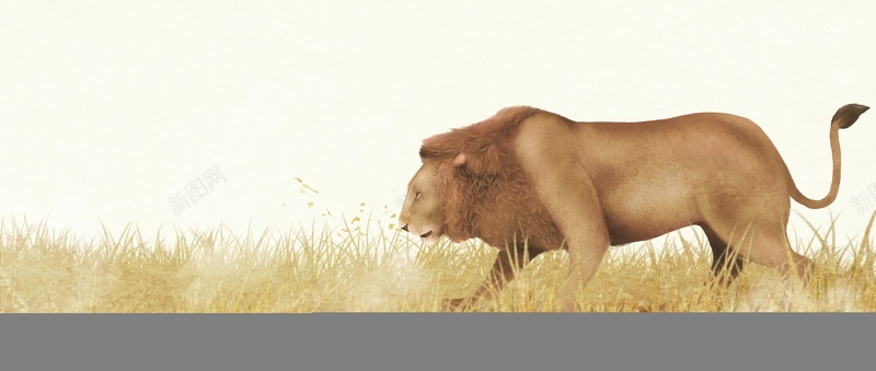 彩铅背景动物分层狮子背景