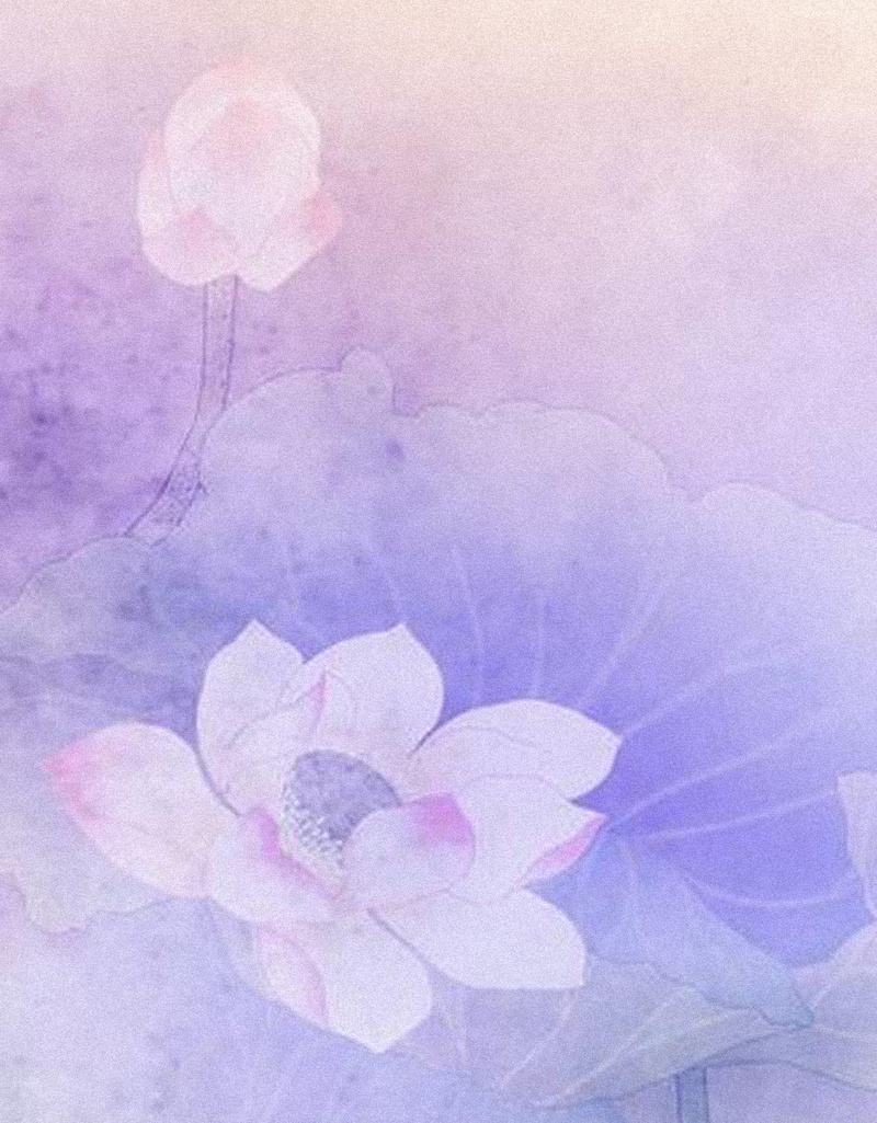 粉紫色花卉H5背景jpg设计背景_新图网 https://ixintu.com 粉紫色 女装 梦幻 浪漫 花卉 H5背景 H5 h5