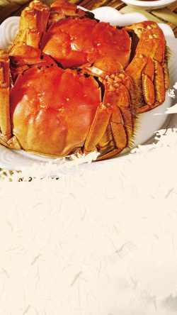 金秋螃蟹大闸蟹海报背景素材高清图片