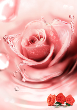 粉色牡丹花卉海报背景背景