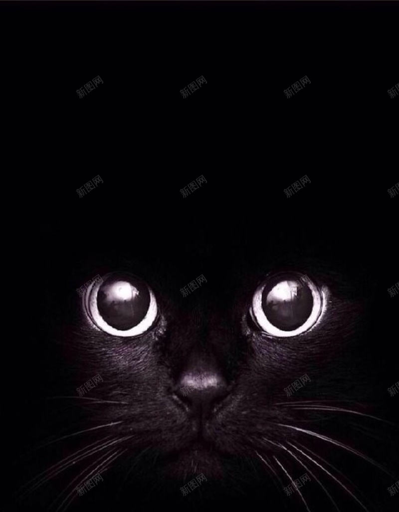 黑色创意H5背景jpg设计背景_新图网 https://ixintu.com 猫眼睛 猫咪 喵星人 动物 黑色 H5 h5