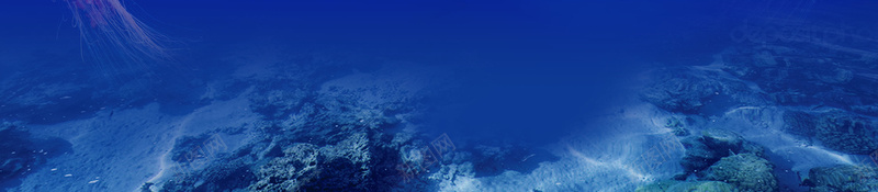 创意海岛旅行旅游海报psd设计背景_新图网 https://ixintu.com 蜜月海岛游 海岛游 度假 旅游 海边 海 飞机 椰树 蓝色 简约