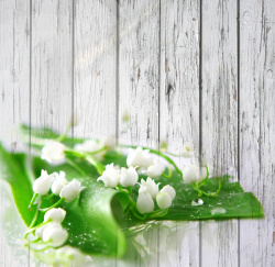 白色铃兰漂亮的花背景素材高清图片