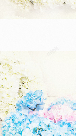 蓝白色渐变蓝白色花卉H5背景高清图片