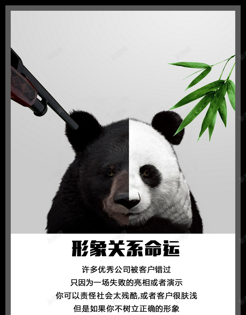 企业文化宣传熊猫海报背景素材jpg设计背景_新图网 https://ixintu.com 企业 文化 励志 海报 背景素材 开心 欢乐