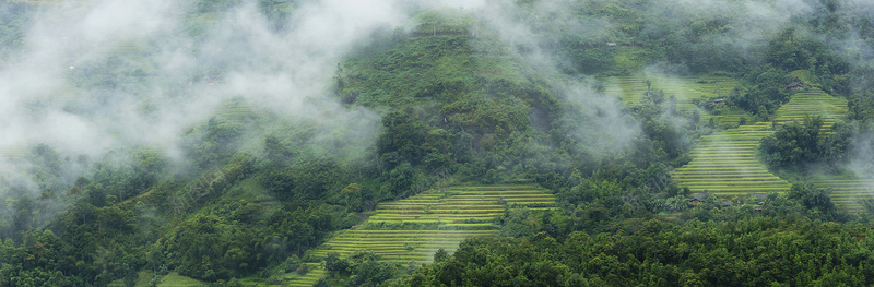 大气淘宝背景jpg设计背景_新图网 https://ixintu.com 海报banner 大气 大气淘宝绿色山脉茶田云雾