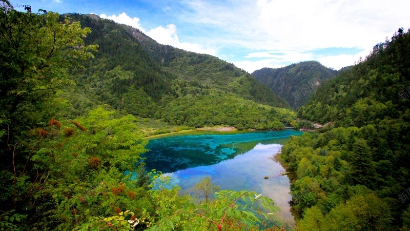 山峰树木远景天空75jpg设计背景_新图网 https://ixintu.com 山峰 树木 远景 天空