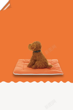 折叠床垫海报宠物海报背景素材高清图片