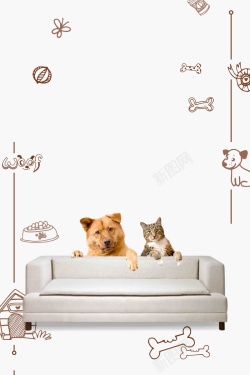 简约背景猫和狗简约大气宠物宣传推广高清图片