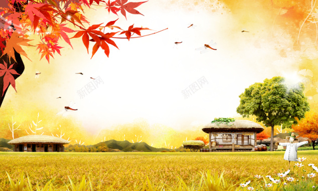 秋天金秋韩国枫树印刷背景背景