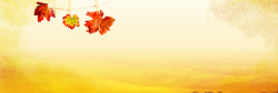 毛毯海报秋季枫叶背景高清图片