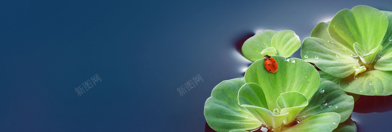 唯美梦幻图片psd设计背景_新图网 https://ixintu.com 唯美梦幻图片 淘宝背景 背景素材 唯美 梦幻 女装 化妆品 高档素材 海报banner 科技 科幻 商务