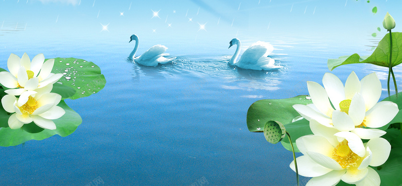 荷花海报psd设计背景_新图网 https://ixintu.com 荷花海报 背景 池塘 海报banner 卡通 童趣 手绘